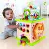 Hape Country Critters Cube