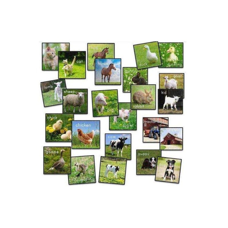 Barn Animals Stow N Go Carpet Rounds Set of 24