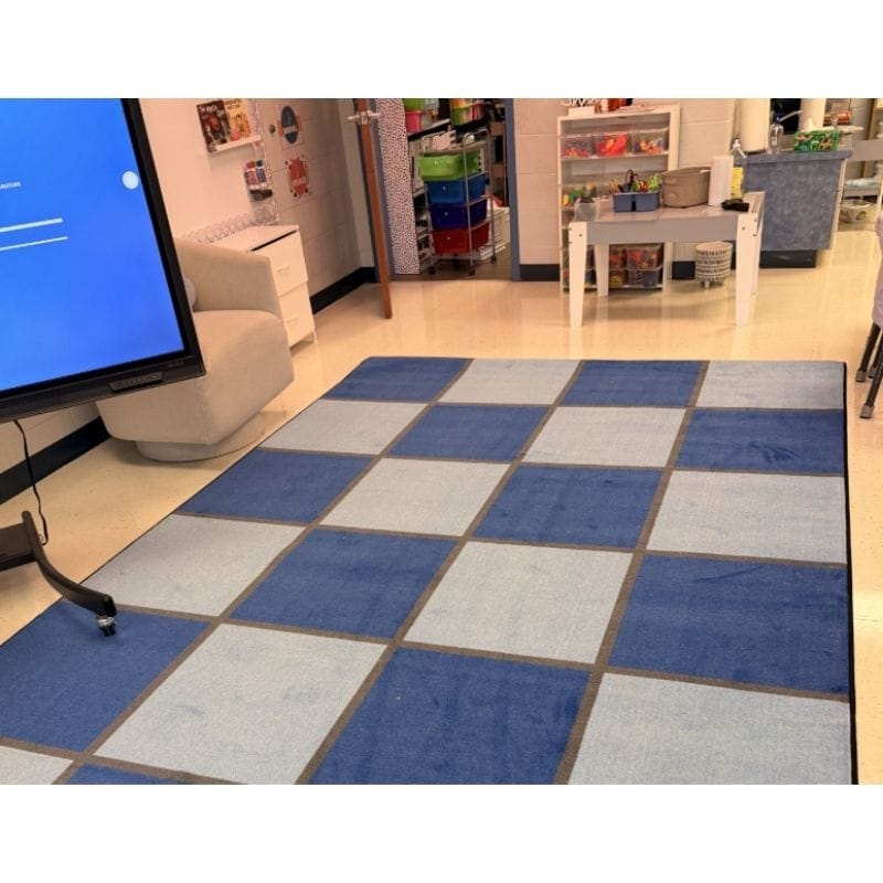 By_the_Sea_Checkered_Grid_Seating_Rug