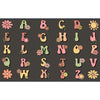 Alphabet letters with floral designs on a dark background