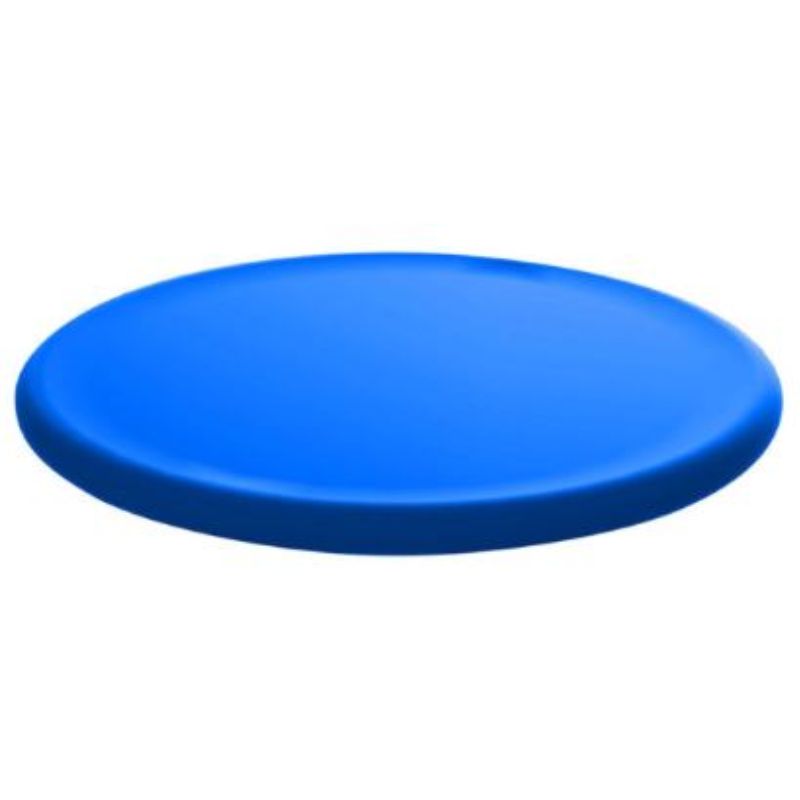 Floor Wobbler Balance Disc