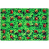 Real Ladybug Seating Rug