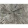 Mayberry Denver Timber Area Rug
