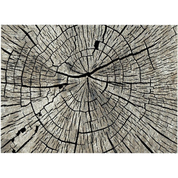 Mayberry Denver Timber Area Rug