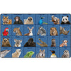 Zoo Animals Seating Rug
