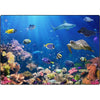 Explore the Ocean Rug