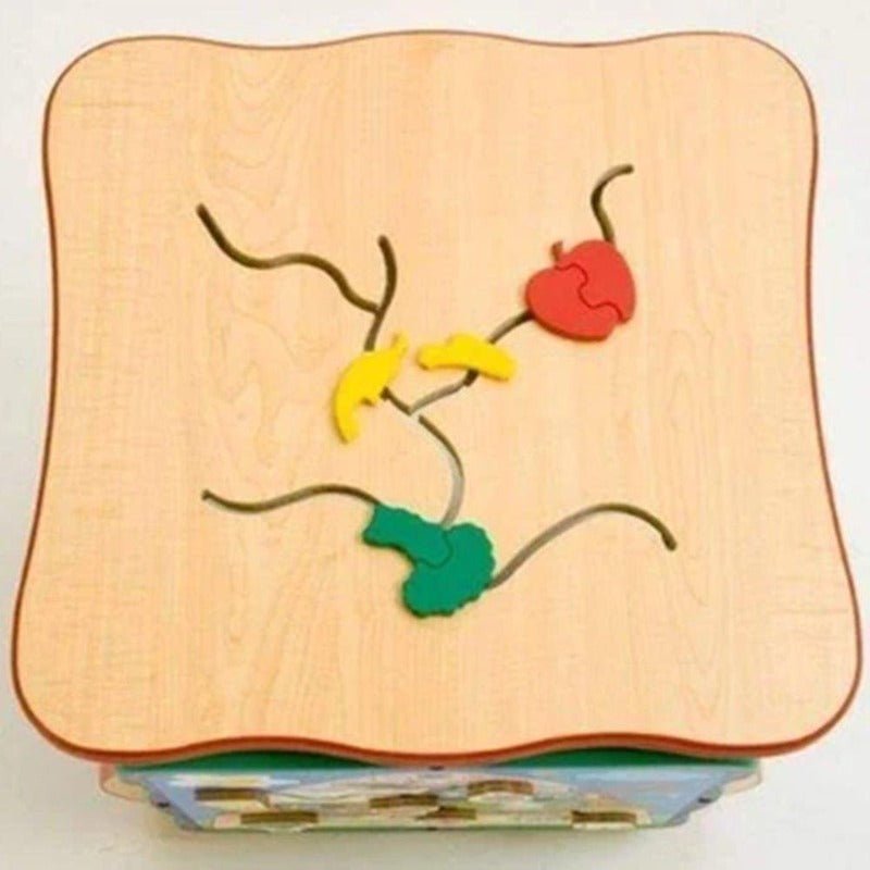 Healthy Island Activity Cube