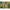 KIDSoft Nature s Friends Toddler Rug