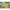 KIDSoft Pattern Blocks Rug Nature